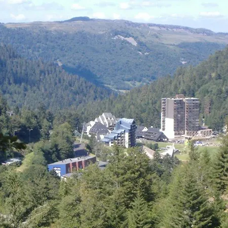 Apartment Au Coeur De La Station Avec Terrasse Ensoleillee Et Proximite Commerces Et Pistes - Fr-1-787-30 Laveissiere