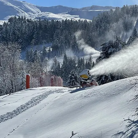 Apartamento Au Coeur De La Station Avec Terrasse Ensoleillee Et Proximite Commerces Et Pistes - Fr-1-787-30